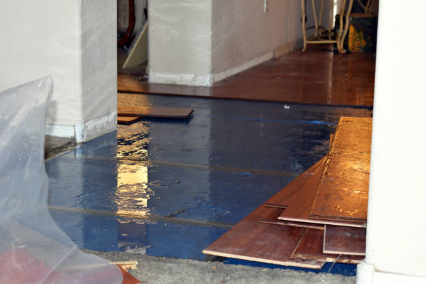 Professional Basement Flood Cleanup technician working in Newark, NJ